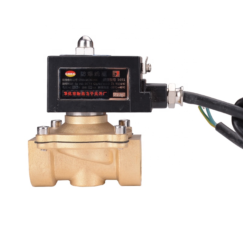 220v ac 24v dc 2/2 Way Mini Brass взрывозащищенный электрический детектор природного газа Соленоидный клапан