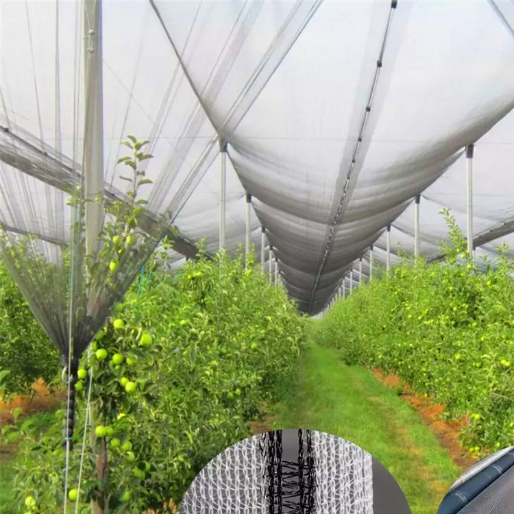 Anti Hail Net Agricultural protection PE anti hail net for Farm Greenhouse