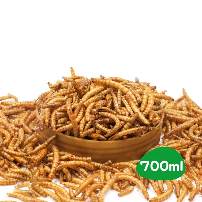 Support customized high-nutrient and high-protein bottled freeze-dried mealworm for birds
