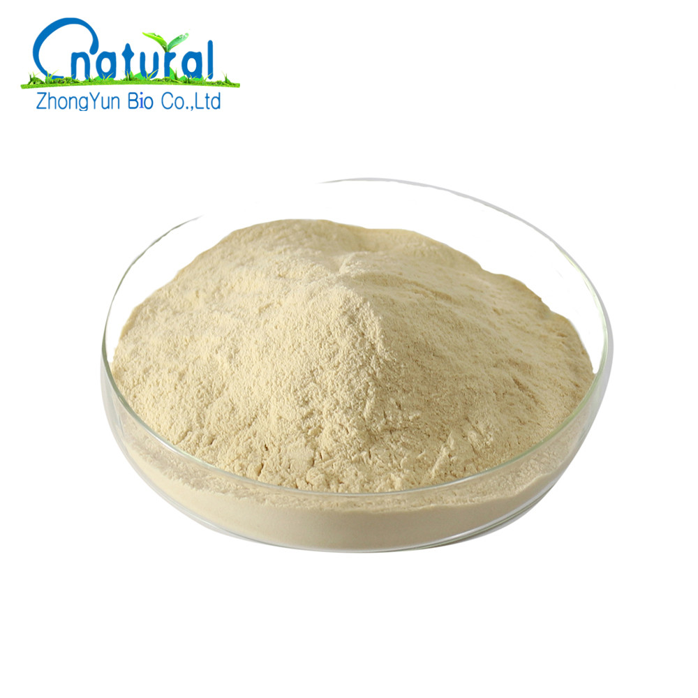 Factory Supply High Quality Bacillus Licheniformis