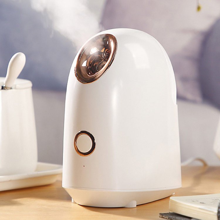 Household hot mist Nano Ionic Face Humidifier Warm Steam Deeply Skin Moisture Facial Steamer
