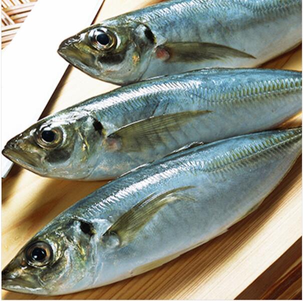 Высококачественная замороженная синяя скумбрия BQF