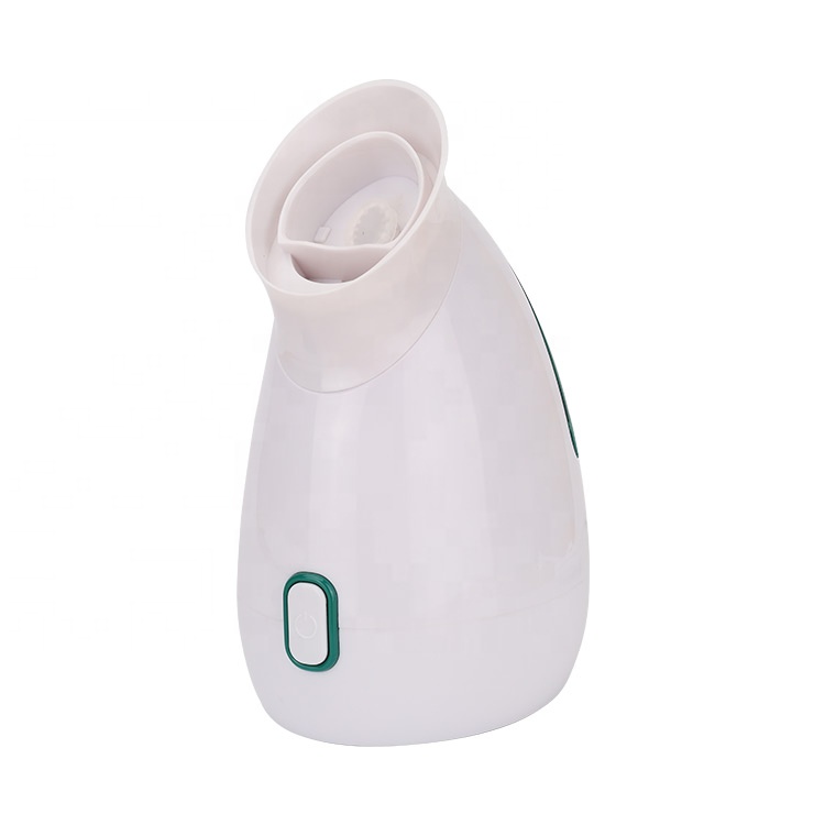 Household hot mist nano ionic face humidifier warm facial steamer for sale