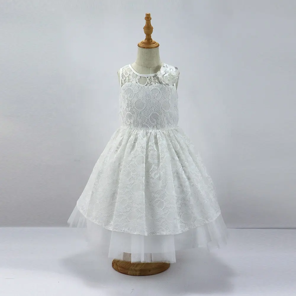 Wholesale Custom High Quality Flower Girl Dress Baby Girls Lace Birthday Party Princess Dress