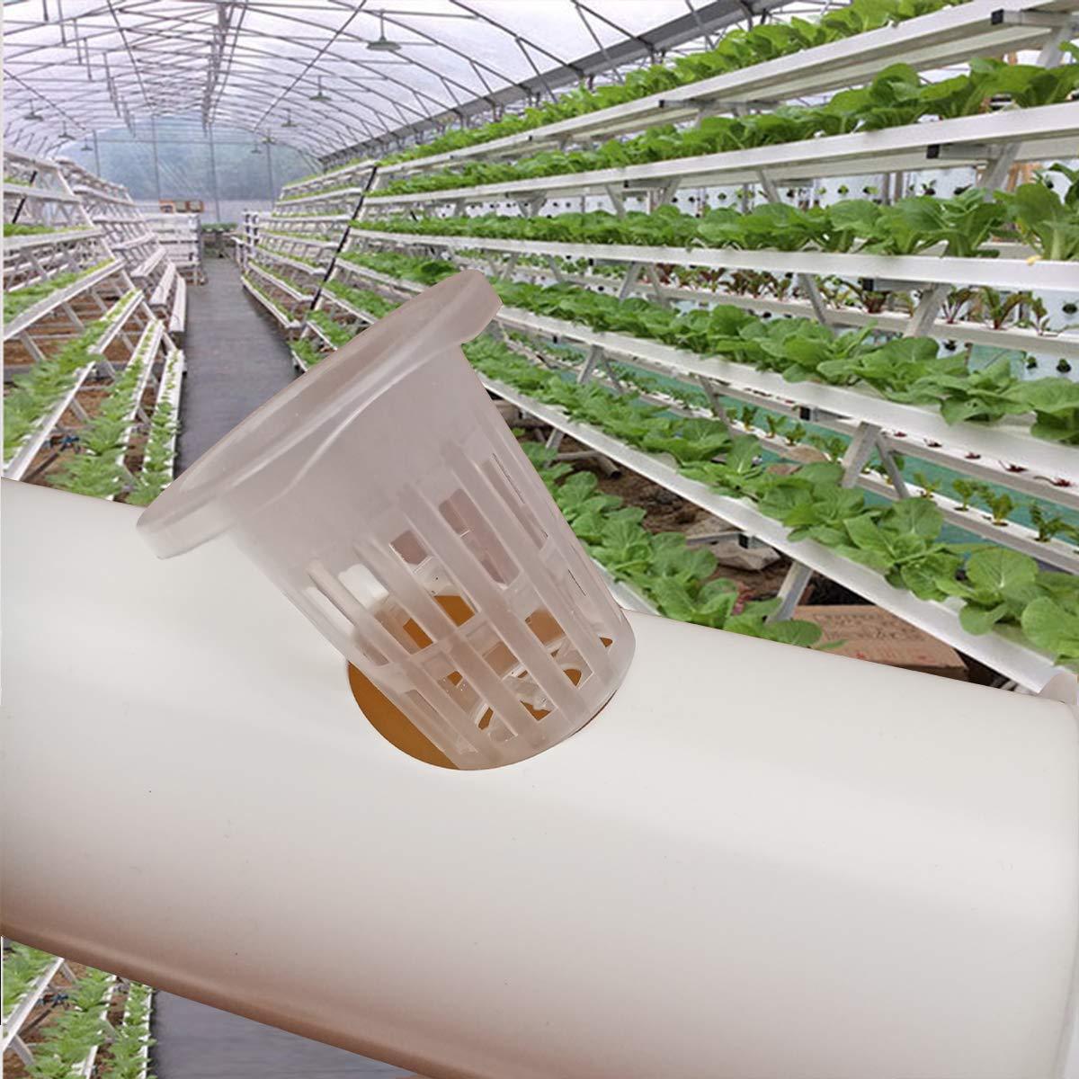 vegetables lettuces planting plastic mesh net cup