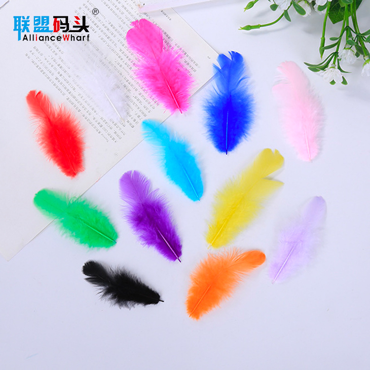 Factory Hot Sales Cheap Pheasant Feather Craft 5-8cm Small Size Dyed Chicken Feathers Multi Color