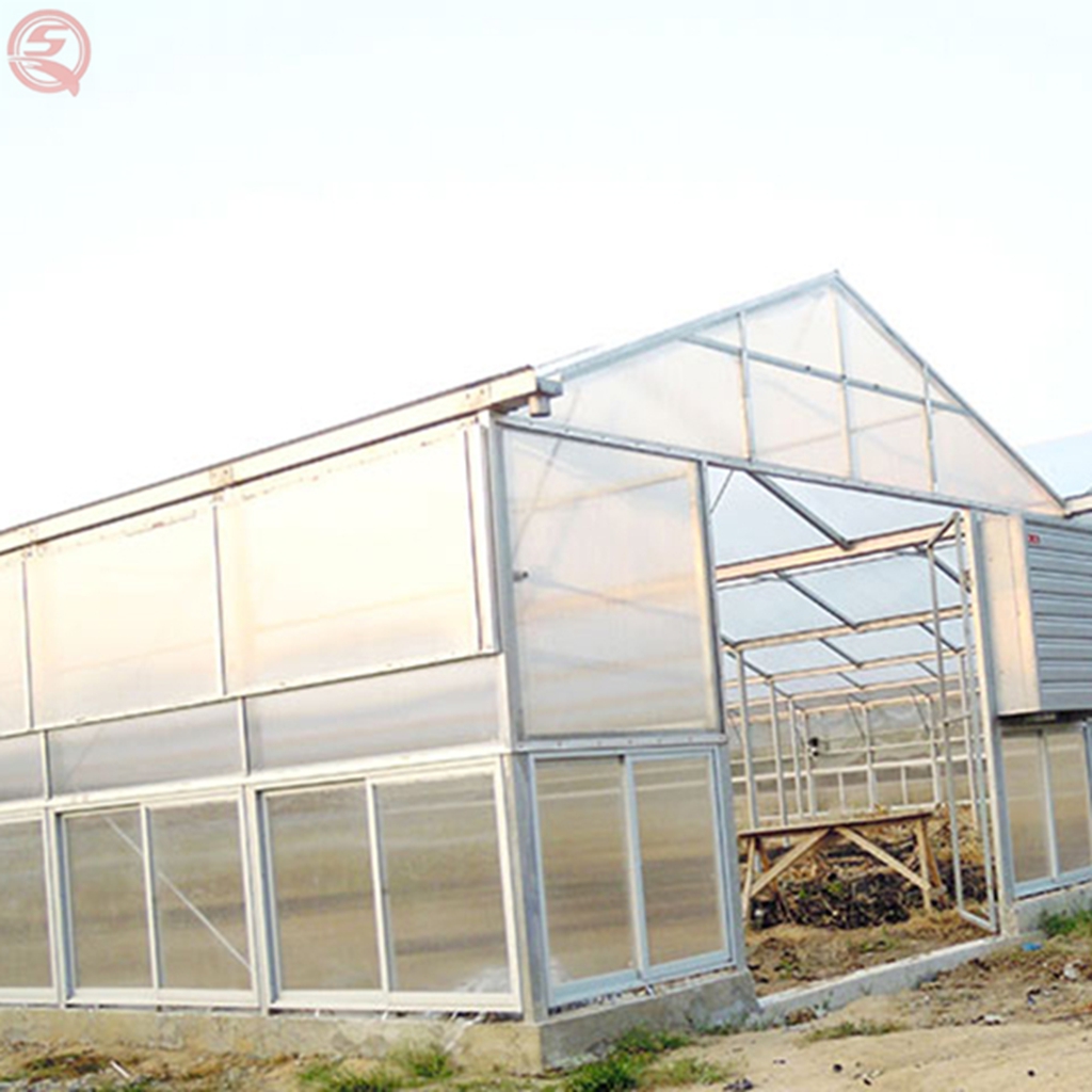 Грибы для городского сельского хозяйства greenhosue, для микротеплиц, вертикальное сельское хозяйство, теплица funghi