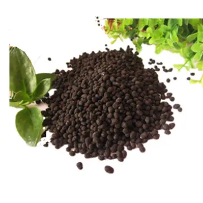 Export Black Gold Palm Oil Lawn Nutriplant Use Water-soluble Plus Granular Amino Humic Acid Organic Fertilizer Magnesium
