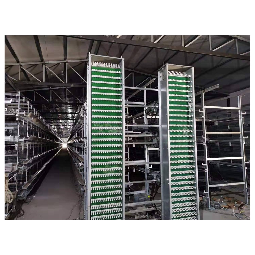 INNAER автоматическое оборудование для сбора яиц 3-5 ярусов куриная клетка