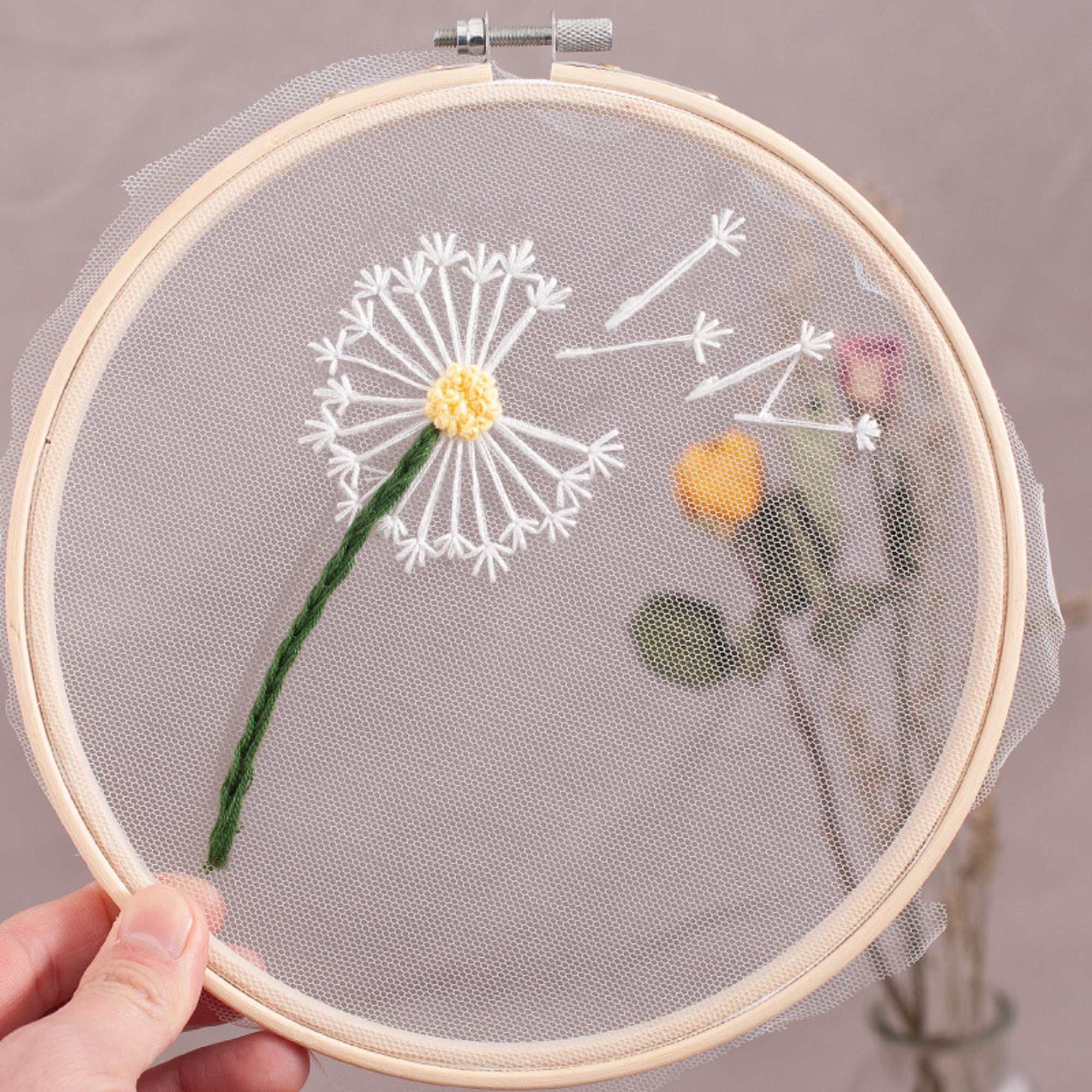 Transparent Embroidery Kit for Adults with Hoop, Thread, Needles, DIY Craft for Beginner