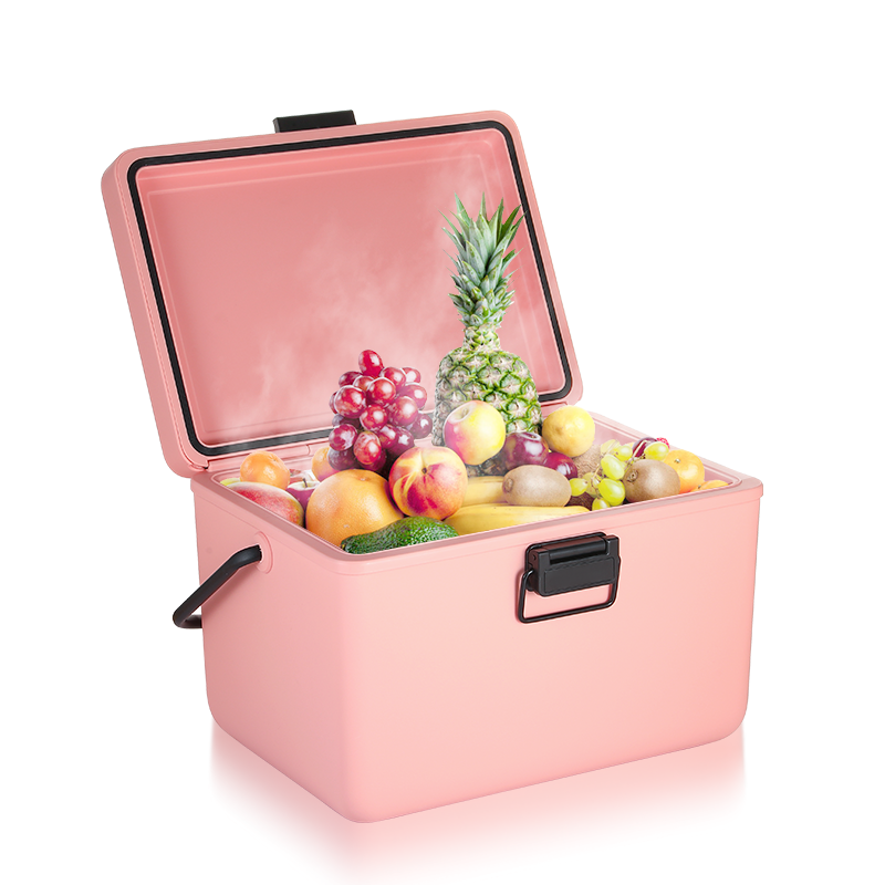 Wholesale 12QT Outdoor Portable Hard Cooler Heavy Duty Handle Low Price Insulated PP/PE Material Modern Style Keeps Hot Cold