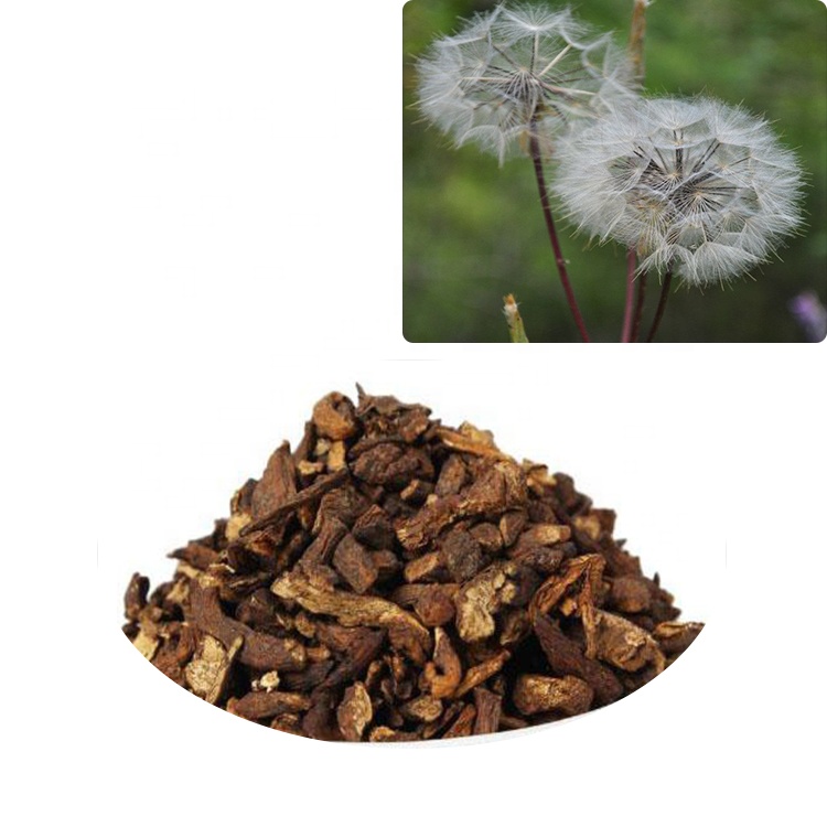 Dandelion Root tea Dandelion Root Extract dried Dandelion Day Natural
