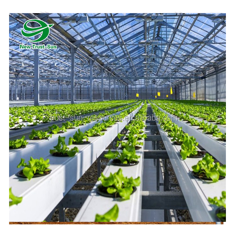 Aquaponic farm вертикальные системы гидропоники, теплица для теплиц с гидропонной системой выращивания