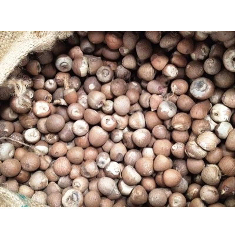 Высококачественные Заводские Оптовые цены, полностью сухие орехи Arecanut, оптовая продажа сушеных на солнце сырых орехов Areca из Шри-Ланки