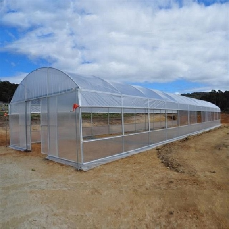 FUMA Hot selling single tunnel greenhouse plastic shed tropical fruit cultivation