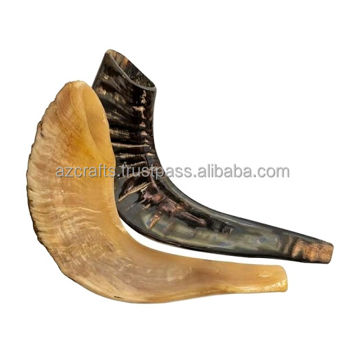 Оптовая продажа полированный Рог SHOFAR / KUDU / KOSHER / RAM