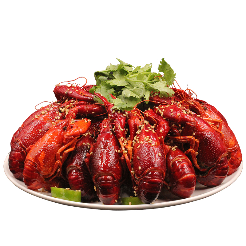 Wholesale Price 250g Dark Powder Convenient Bagged Single Spices for Food