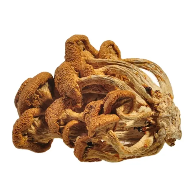 Cheap price new split bulk mushrooms nameko dried big dried nameko mushroom for food