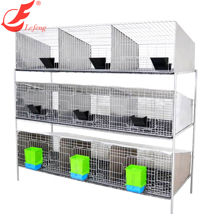 commercial breeding rabbit cages Intensive culturing system