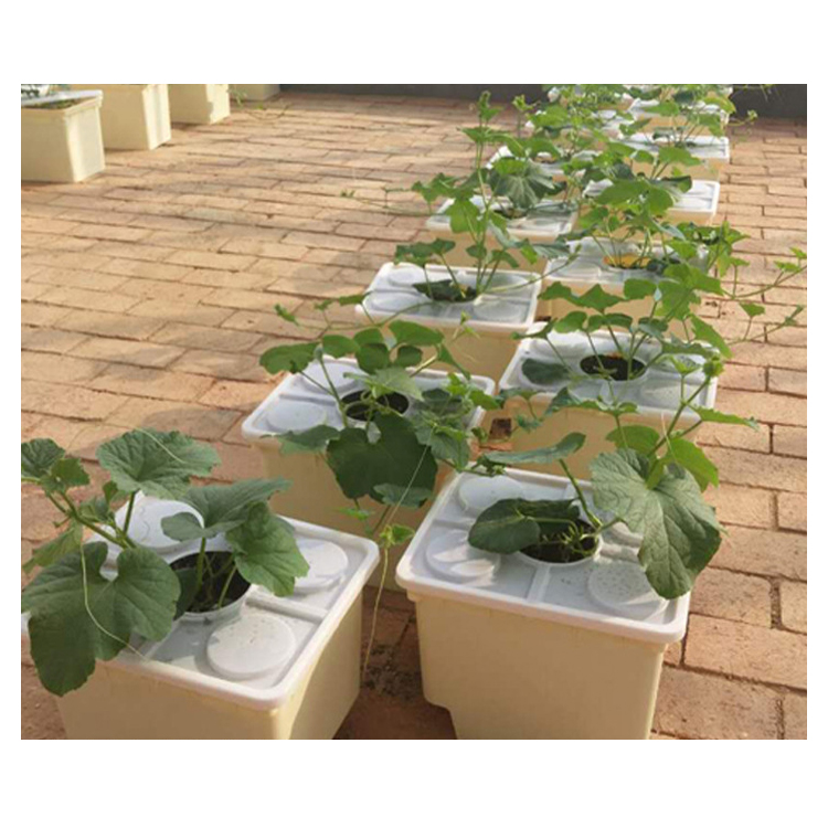 Dutch Bucket For Hydroponics Greenhouse Hydroponic Drip irrigation Dutch Bucket System