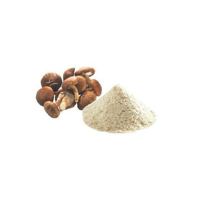 Wholesale Customization Aid Digestion 100g Shiitake Hypathisis Mushroom Powder For Food Nutrition