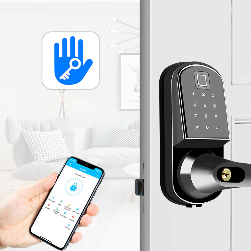 Интеллектуальная дверная клавиатура Eseye, Wi-Fi, cerradura digitales, цифровые замки с отпечатком пальца, домашний замок Tt