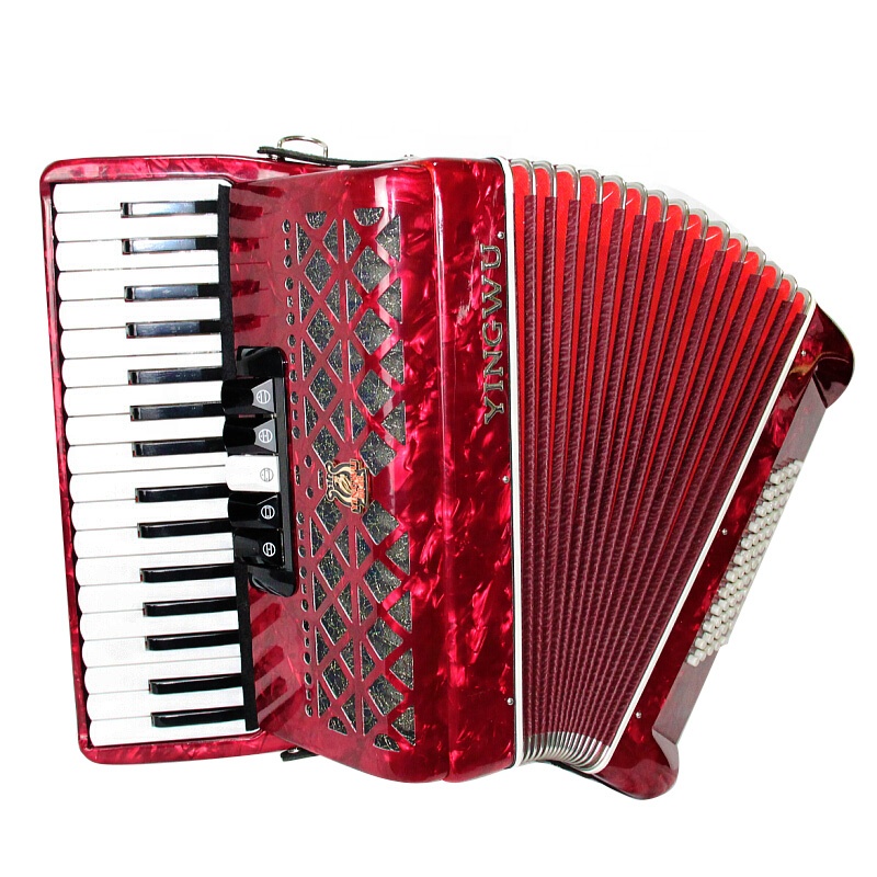parrot accordion 120 Bass 3 chorus keyboard ,Yingwu Piano Accordion Keyboard Instruments With Accordion Straps