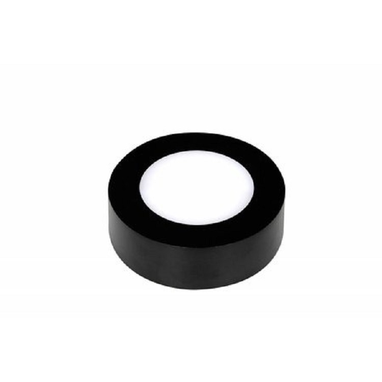 Hotel style ceiling lamp luxury modern small black ceiling lamp 6W