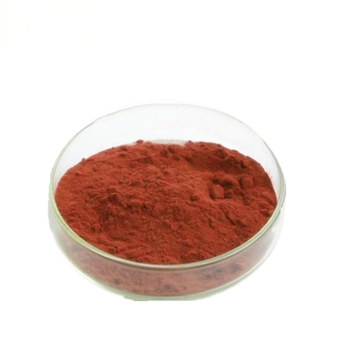 Wholesale Water Soluble Grape Seed Extract 95% Powder with Private Label