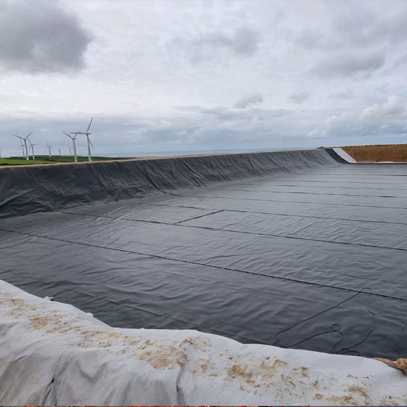 HDPE Geomembrane 1.0mm thickness with low price for Reservoir pools and water storage tanks