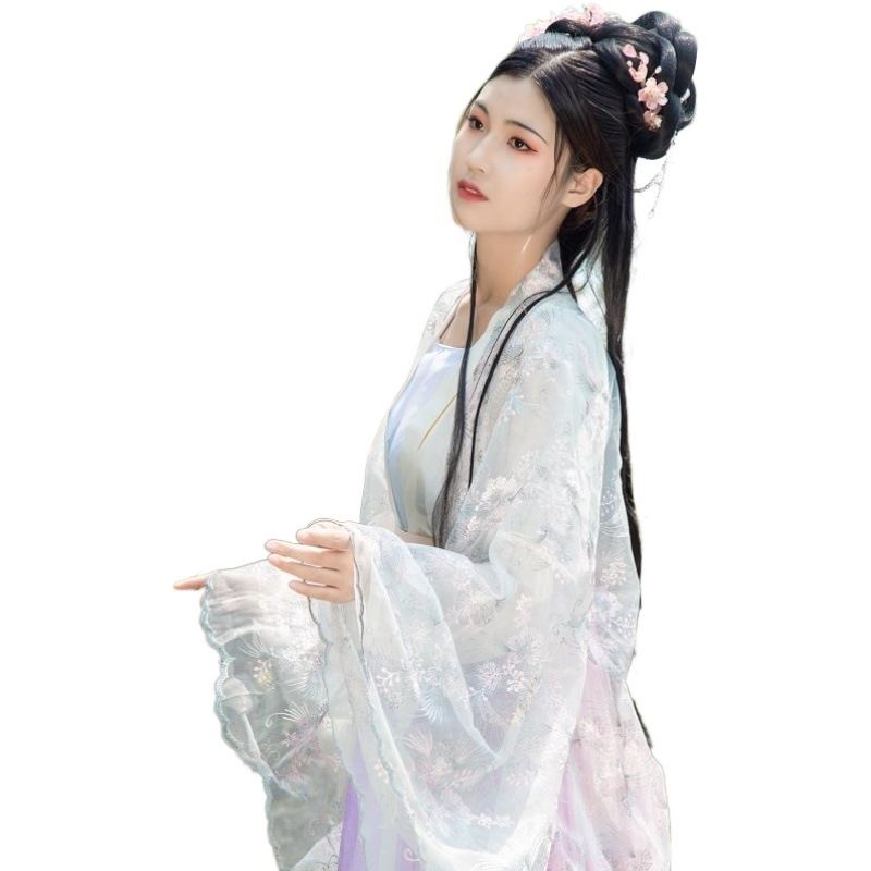 Элегантный estilo moda Фея шифон оптовая продажа индивидуальные вышитые hanfu женщины