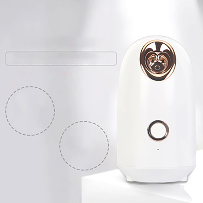 Portable Mini Mist Silver Vapozone Ionic Facial Steamer