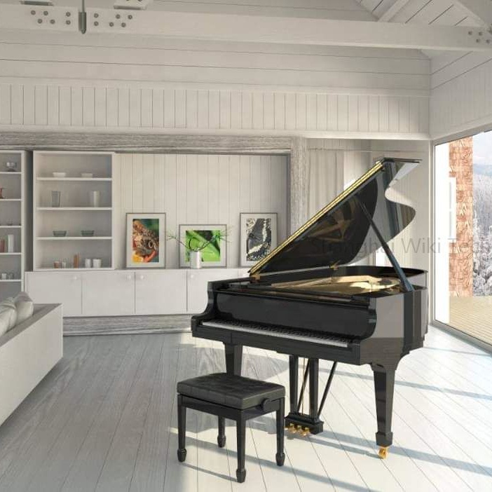 Цены на фортепиано Steinwayy