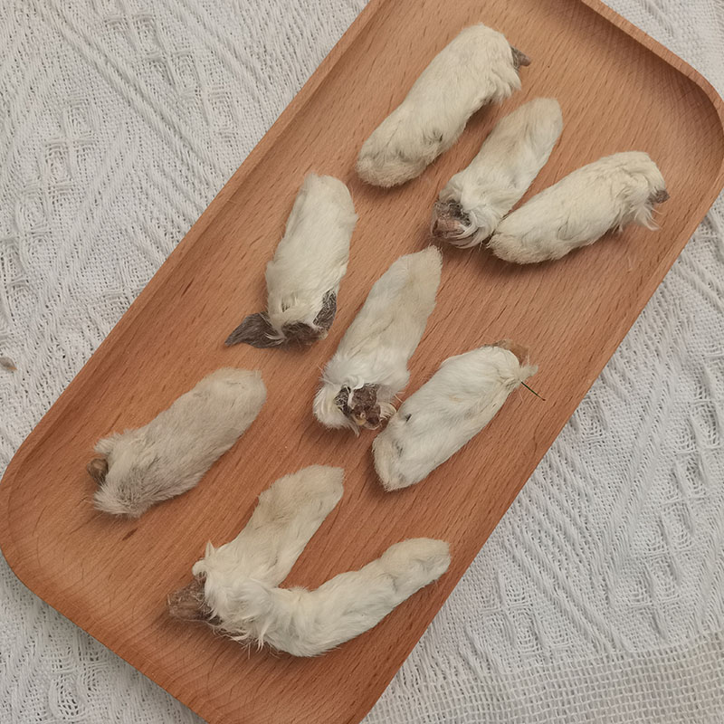High Quality Rabbit Feet Pet Food Meat Dog Food Meat Pet Treat Feet Rabbit Cat Feed Dog Snacks For Dogs
