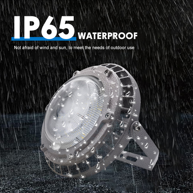 Chemical Warehouse Ip65 Waterproof High Bay Light Led Explosion Proof Lamp 30w 50w 80w 120w Explosion Proof Lights