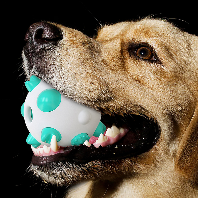 Lowest Price Wholesale Chew Interactive Dog Toy Tough Chewing Dog Balls Toys