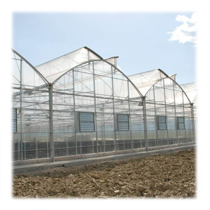 Agriculture Industrial Poly Tunnel Greenhouse Strong Structure Round Arch Other Greenhouses Plastic Film Green House