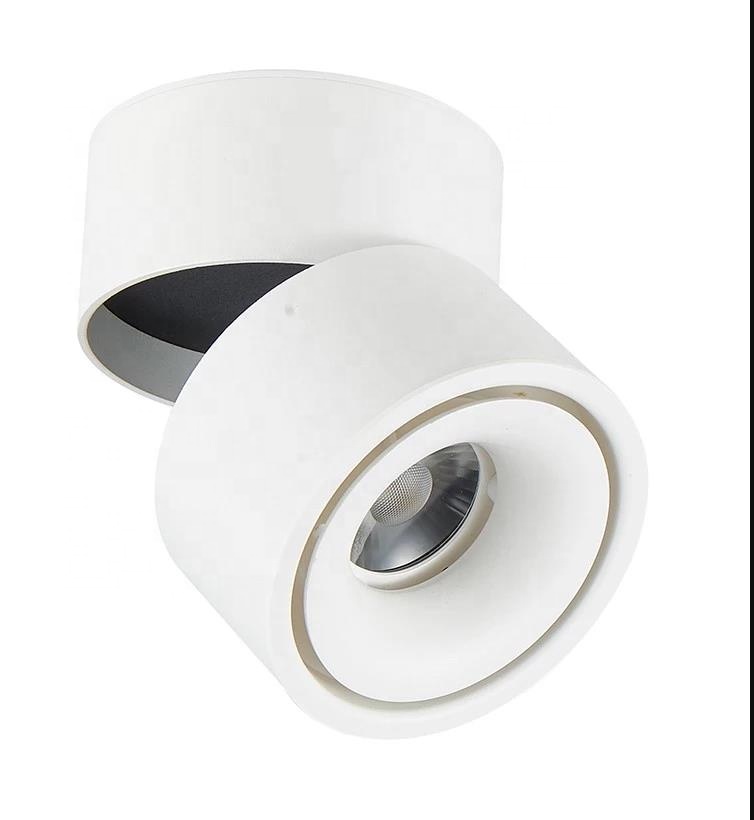 Modern simplicity 12W COB Downlight 360 Spend Rotatable led light downlight