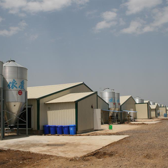 Steel Structure Warehouse Pen Farm Hen Farming Animals Laying Hens Easy Construction Chicken Breeding House