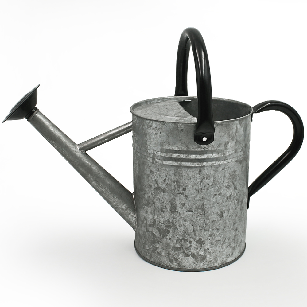 High quality 1 Gallon competitive price metal modern garden galvanized watering can