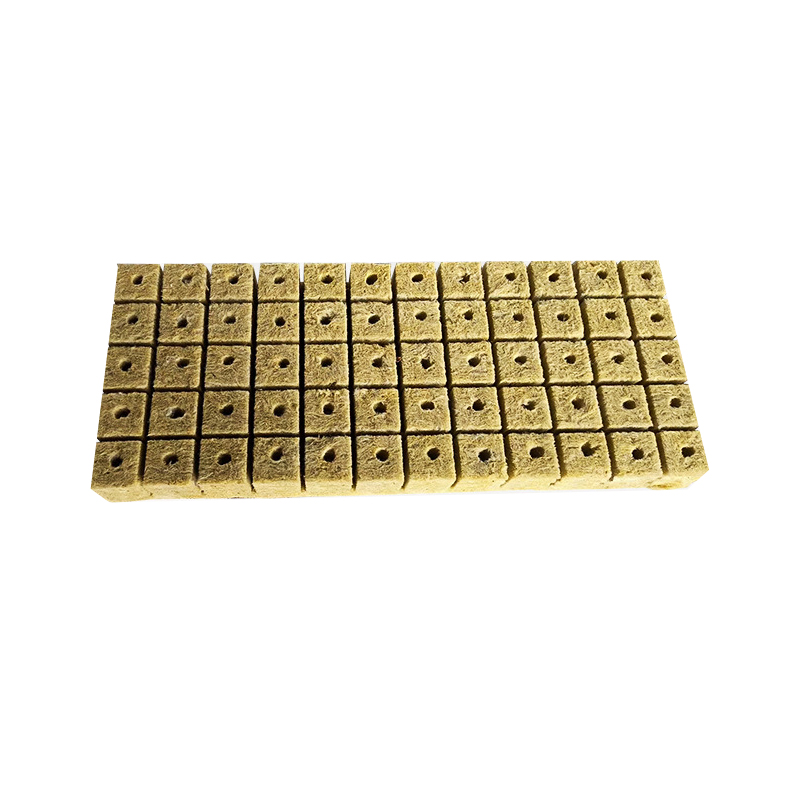 Culture And Transplanting Hydroponic Grow Media Greenhouse Tomato Seeds Starter Tray Seedling