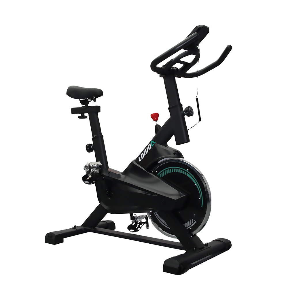 Lijiujia LCD Screen Fitness Exercise Bike Wool Felt Computer Cycling Machine Indoor Spinning Bike
