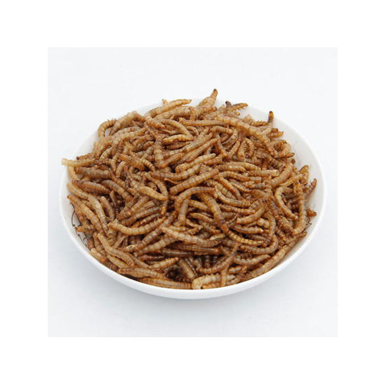 healthy pet snacks Hot selling dried mealworm/Freeze dried mealworm /live mealworm