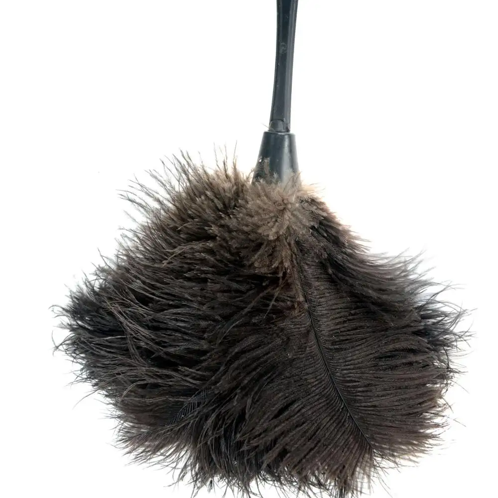 Horng Shya TOP10 Factory 6-8Inch Ostrich Feather Cheap Feather Duster black feather duster for sale