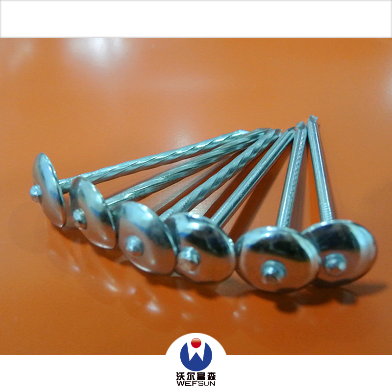 steel roofing nails /building hardware nails with rubber cap