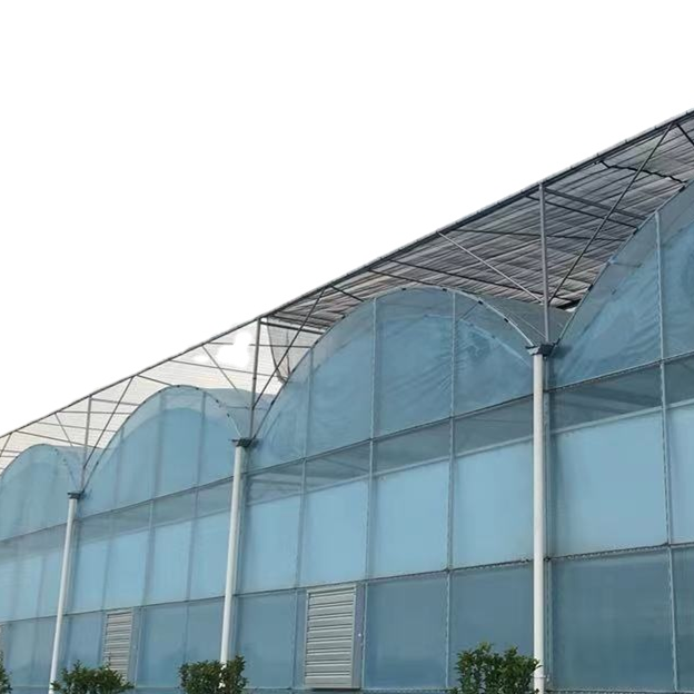 Теплица для гидропонных систем Multi Span PO PE с пластиковой пленкой для выращивания клубники