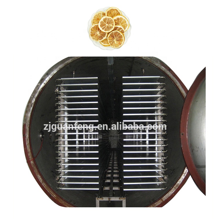 High Cost-Effective Freeze Dryer Fruits Vacuum Freeze Drying Equipment