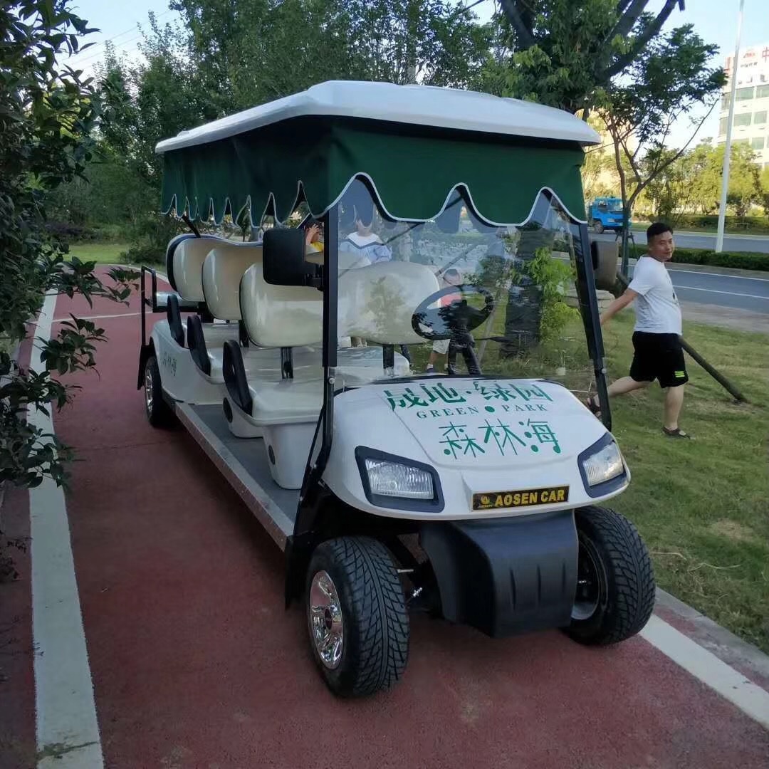 Professional Customized 8 Passengers 250cc Gas or Electric Golf Cart For Airport And Hotel