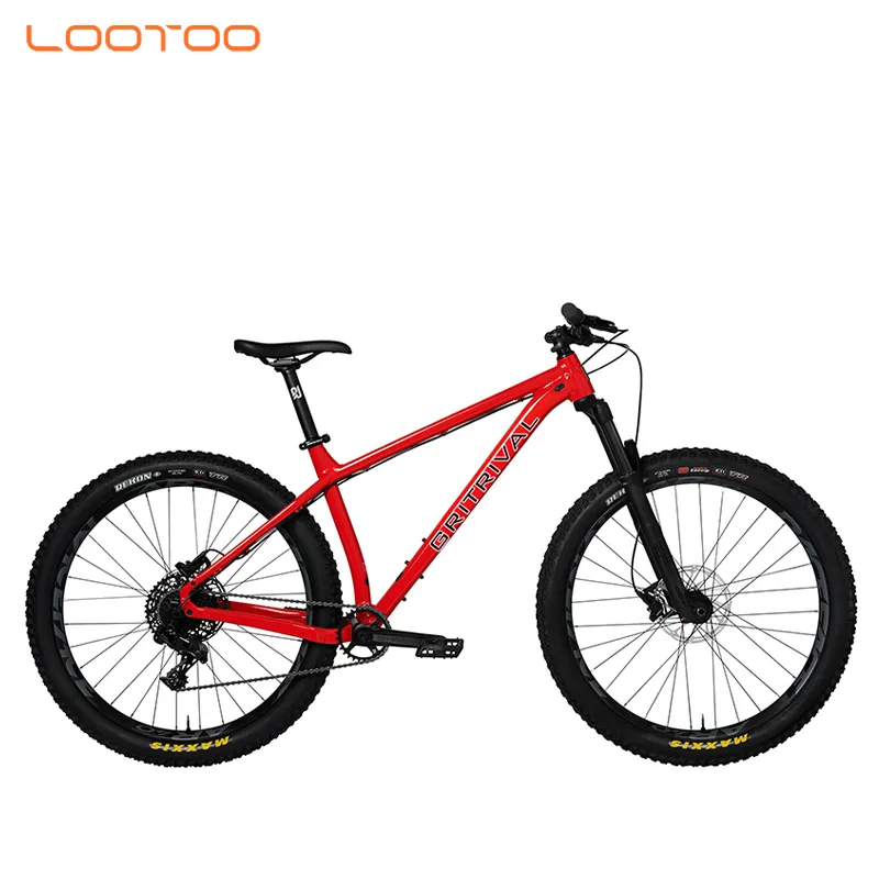 adult folding fat tyre tire frame 29 inch foldable bicicleta de carbono aro road bicycle mountain bike in india for men