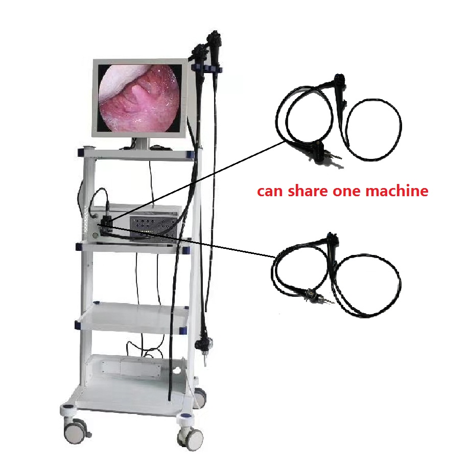 OJH Цена по прейскуранту завода Gastroscope & Colonoscope поделиться одной машиной для медицинских с Exllcent изображения